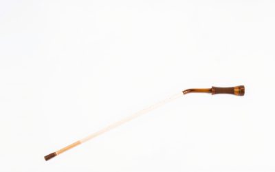 Best Cane For Walking Stick 2026