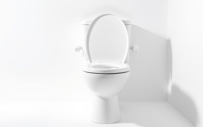 Best Grab Bars For Ada Toilet 2026