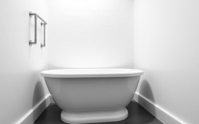Best Grab Bars For Bath 2026