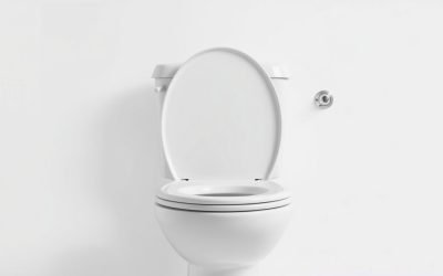 Best Grab Bars For The Toilet 2026
