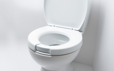 Best Raised Toilet Seat For Seniors 2026