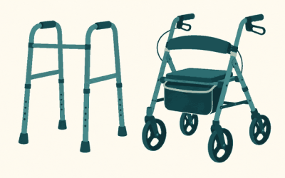 Best Mobility Walkers for Seniors in 2026: Compared and Ranked