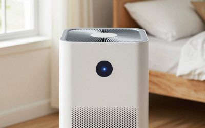 Air Purifier For Basement Bedroom