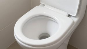 Best Bidet for Seniors with Limited Mobility