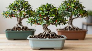 Best Bonsai Pots for Indoor Trees
