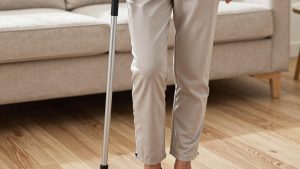 Best cane for apartment living