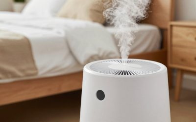 Best Humidifier for Dry Bedroom in 2026