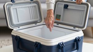 Best Insulin Cooler Travel Cases in 2026: Compared and Ranked