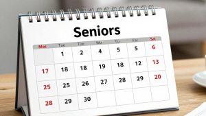 Best Large Print Calendar for Seniors