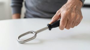 Best Long Handled Shoehorn