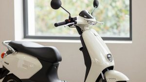 Buy Scooters on Amazon: 6 Picks Worth Ordering (2026)