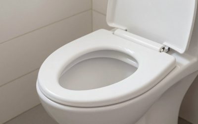 MCombo Electric Toilet Seat Lift vs VOCIC Upgrade Electric Raised Toilet Seat: Which Should You Buy?
