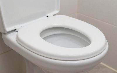 Shower stool with back review 2026 is it worth it