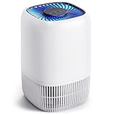 Best Air Purifier for Smoke Odor in 2026